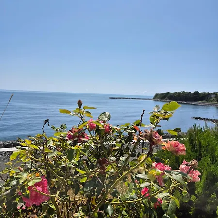 Elit Kiten (Burgas)